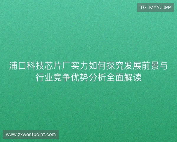 浦口科技芯片厂实力如何探究发展前景与行业竞争优势分析全面解读