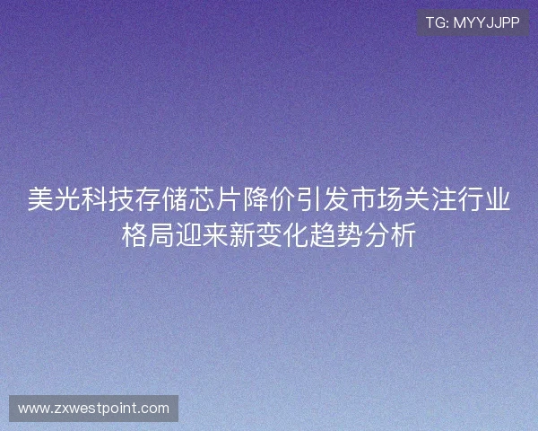 美光科技存储芯片降价引发市场关注行业格局迎来新变化趋势分析