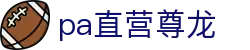 PA直营|中国官网